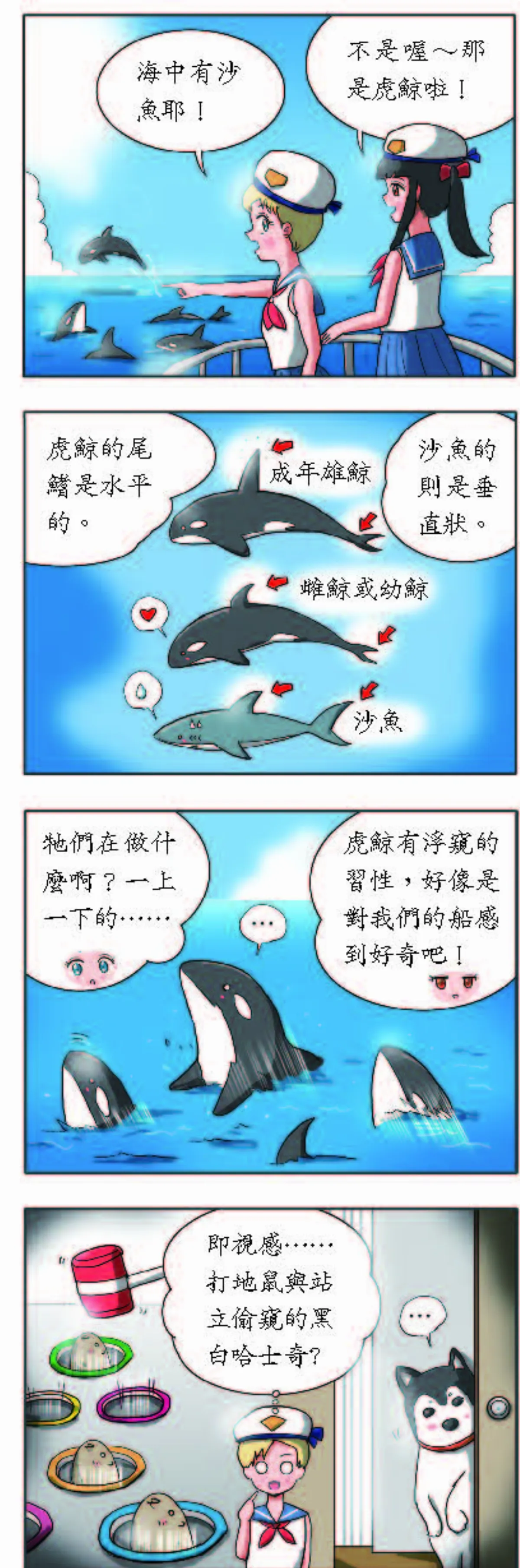 科學研究部 虎鯨的窺視