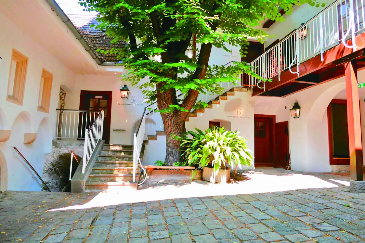 【大江南北】 海黎根 貝多芬紀念館