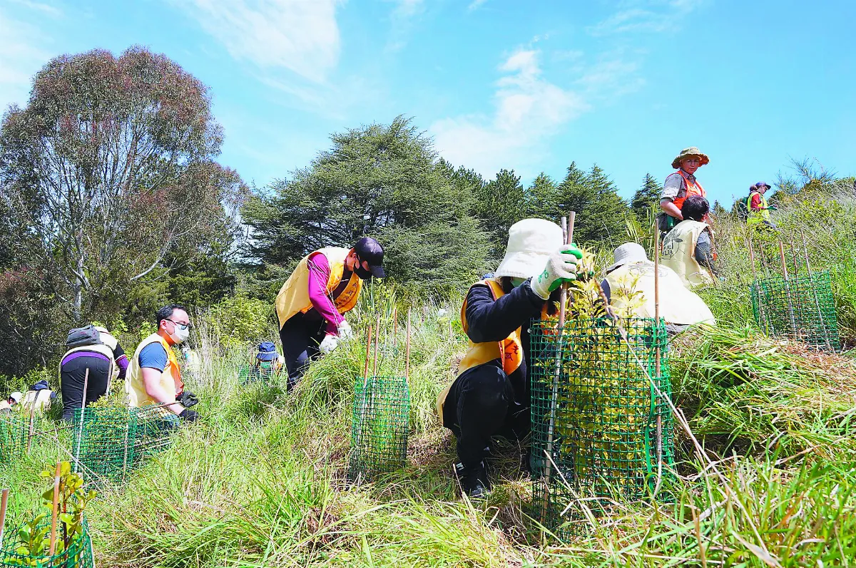 南島佛光人 攜手政府植樹