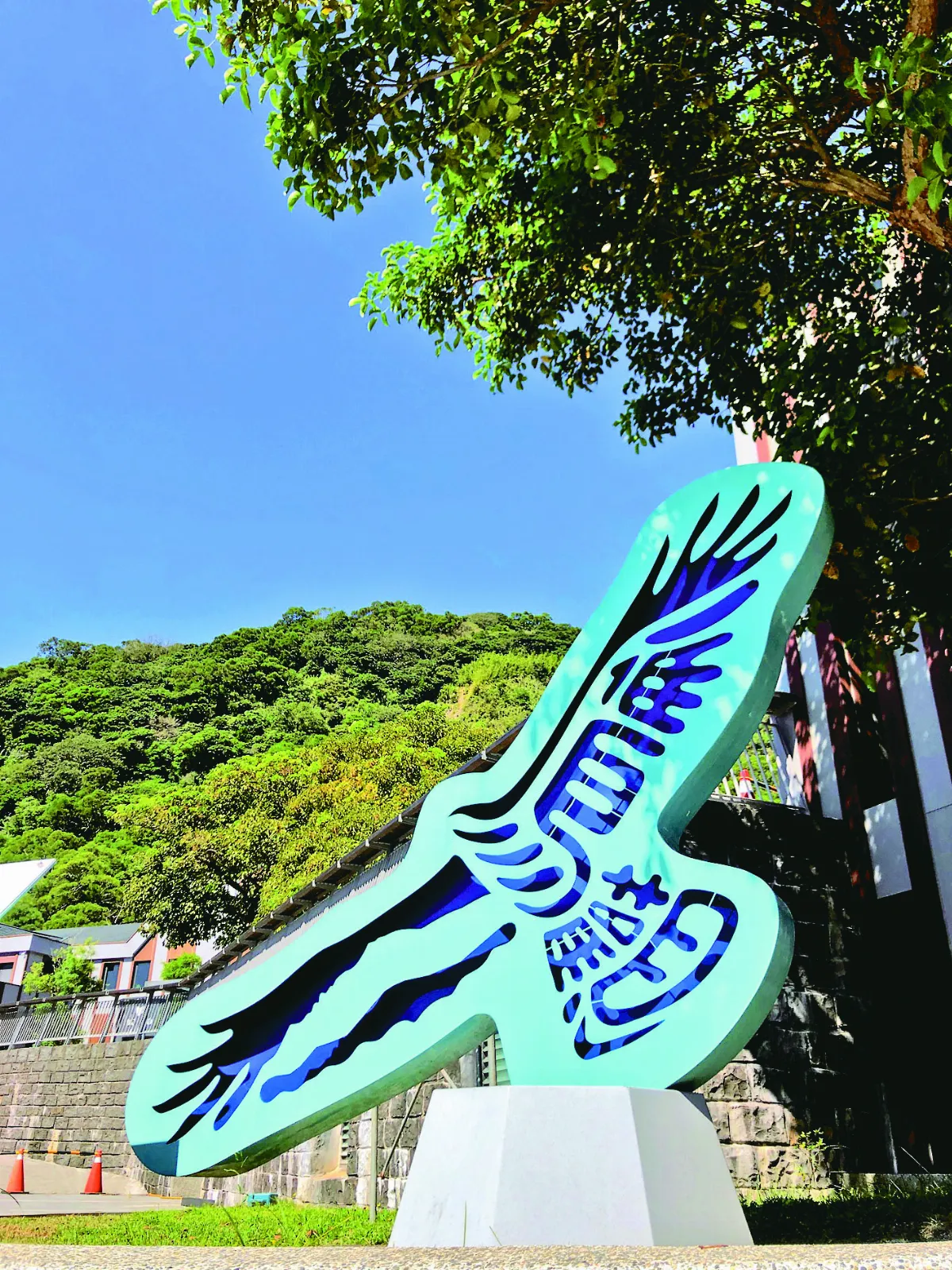 生活快門 觀音山觀鷹