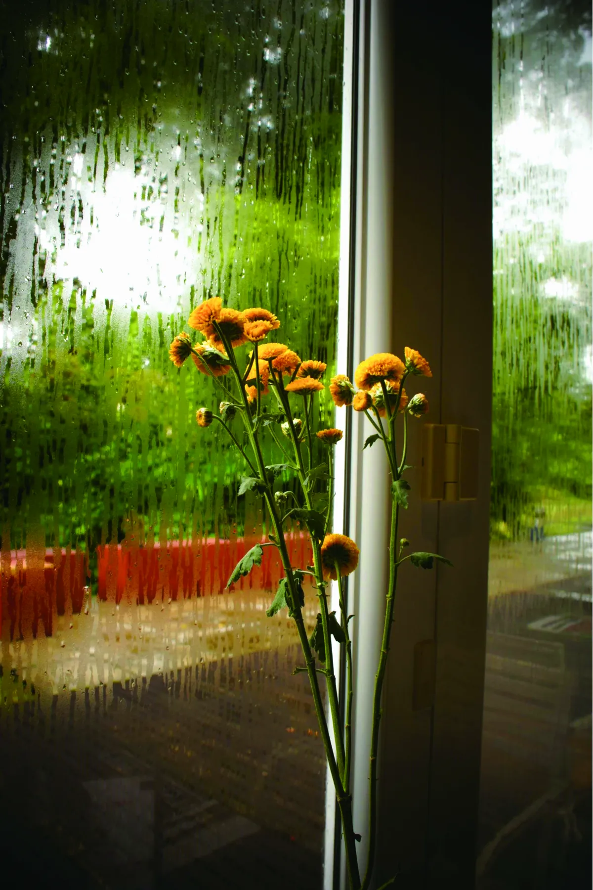 詩 無關乎雨