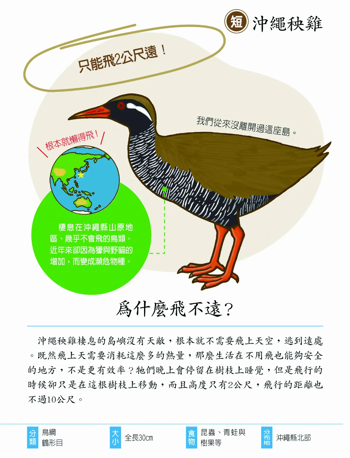 明明都是鳥 飛翔距離差很大