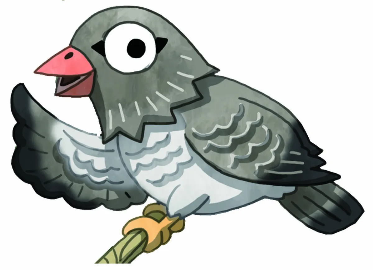 鳥事情一定要靠眼神