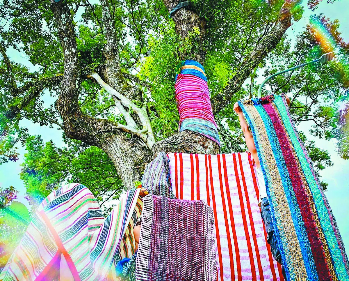 紅葉晒布節 掛起感動印記