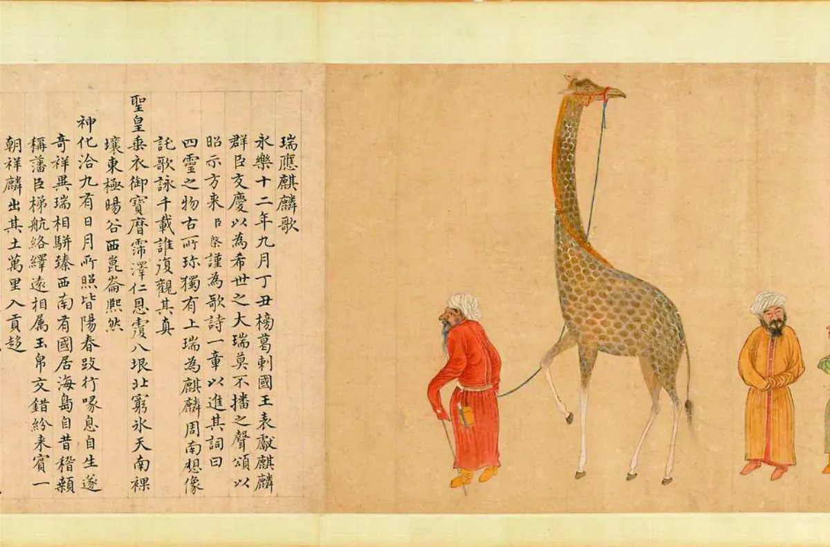 故宮航向天方特展 鄭和貢品麒麟 竟是東非長頸鹿
