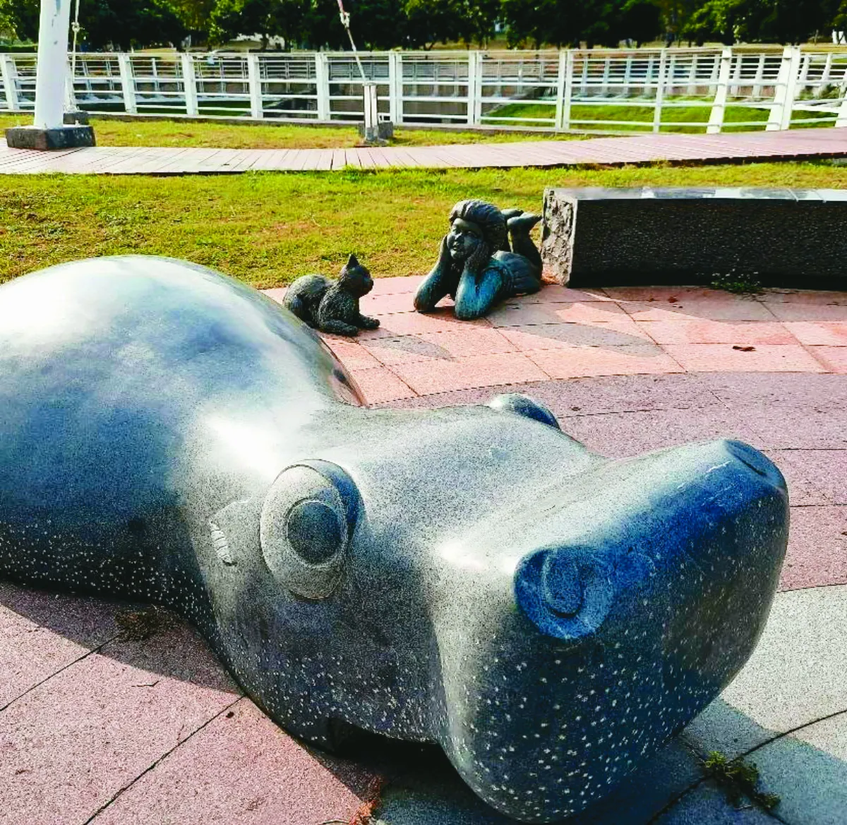 生活快門 我們都是好朋友