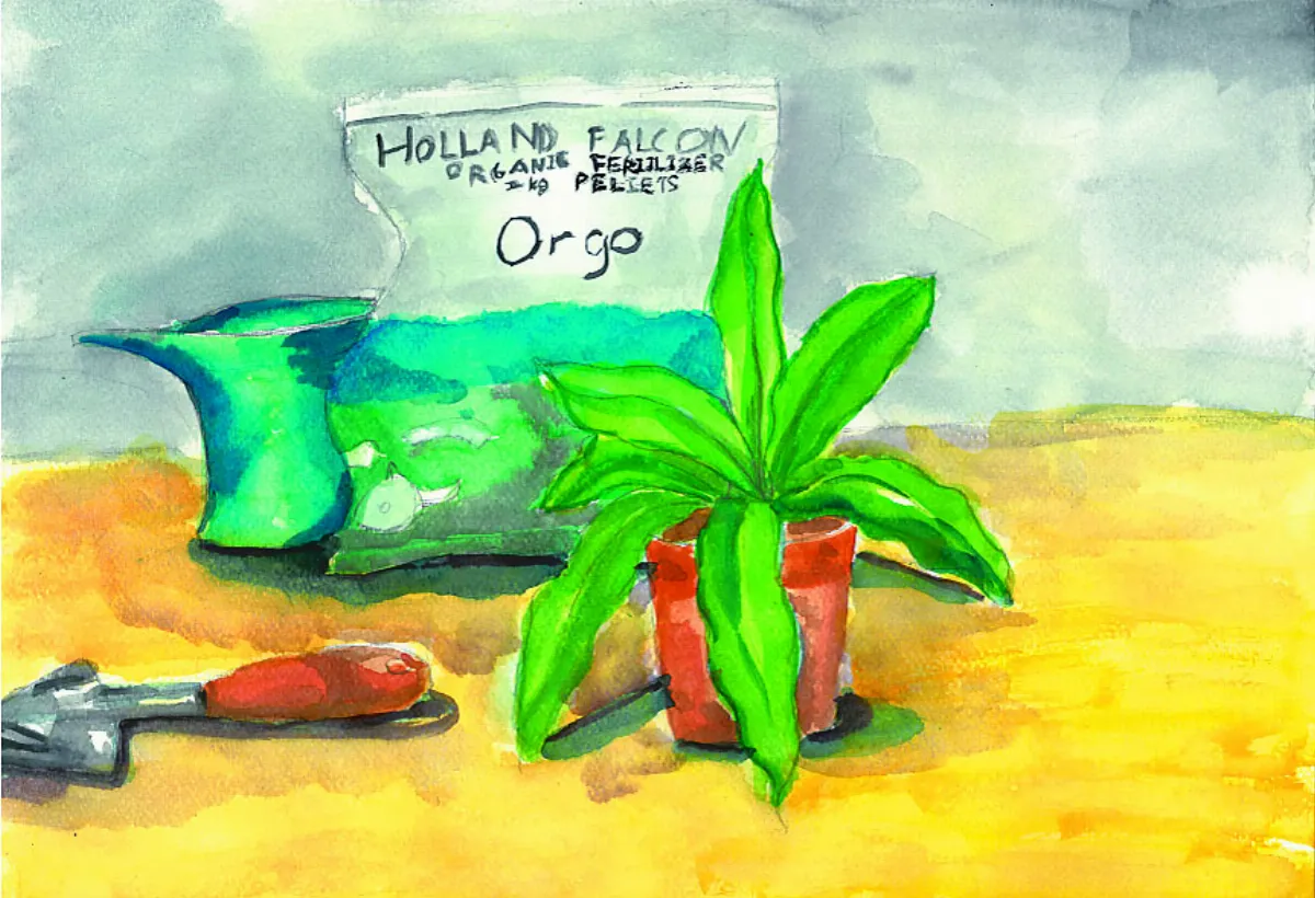 快樂塗鴉簿 我的小盆栽