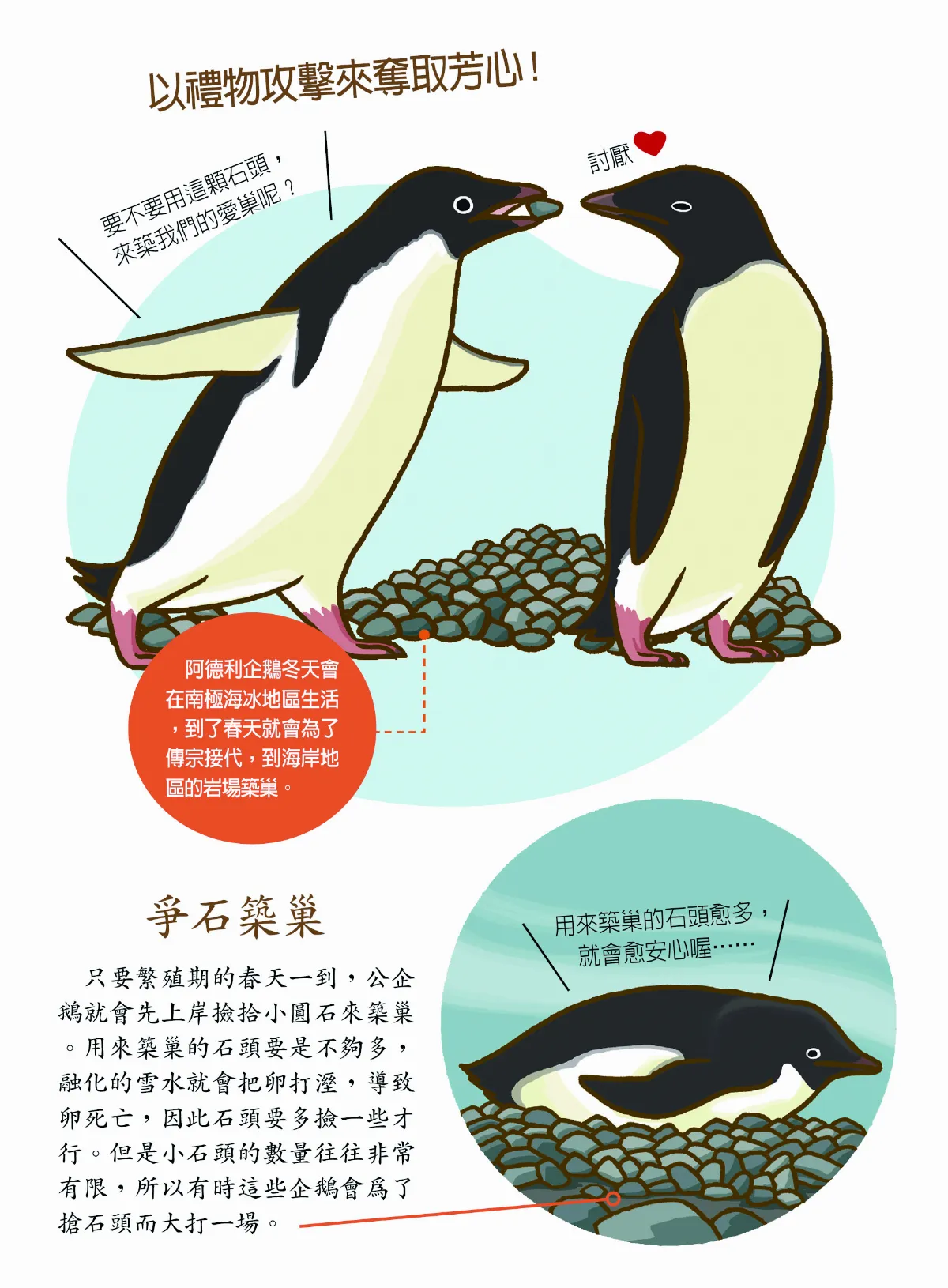 企鵝求婚時會送小石頭