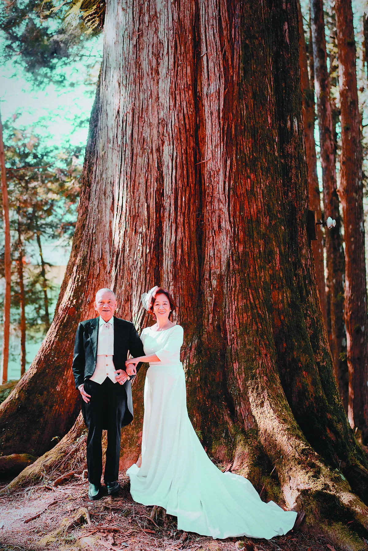 神木下婚禮   8旬夫婦再締盟約