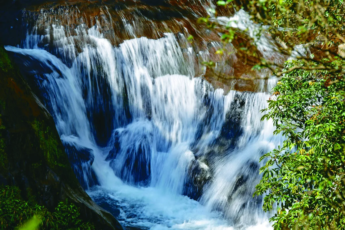 隨堂開示錄─青年勉勵 36 談徒眾調派 3-3