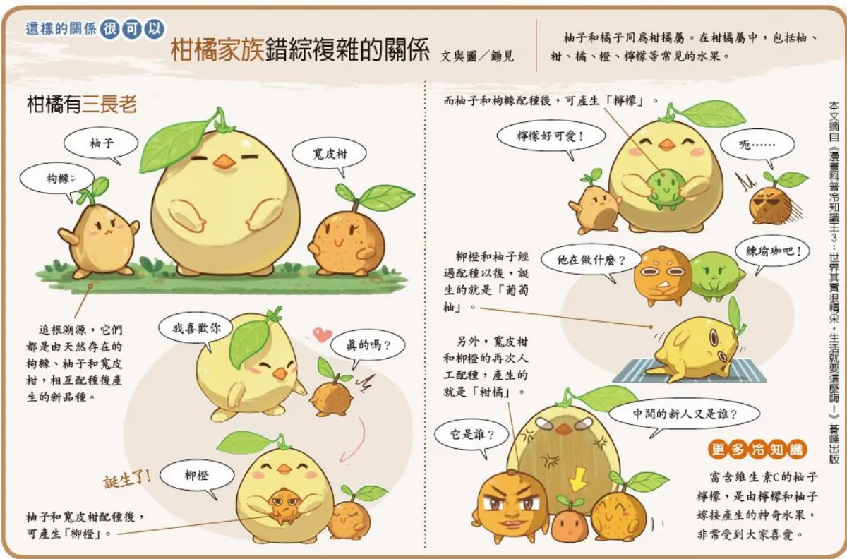 這樣的關係很可以 柑橘家族錯綜複雜的關係