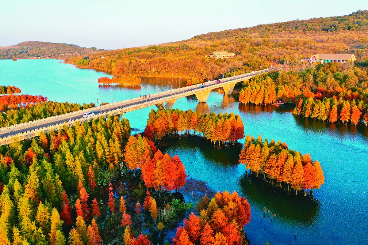 江蘇天泉湖冬韻