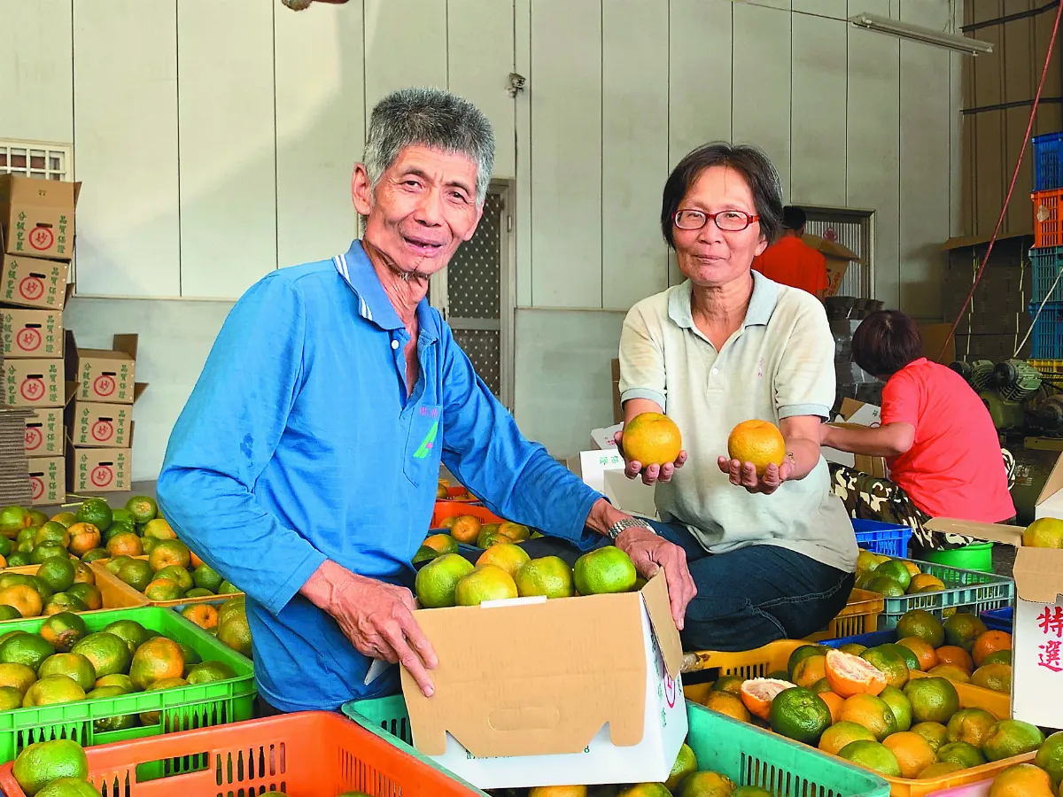 連5年捐助家扶義賣  果農揪柑心