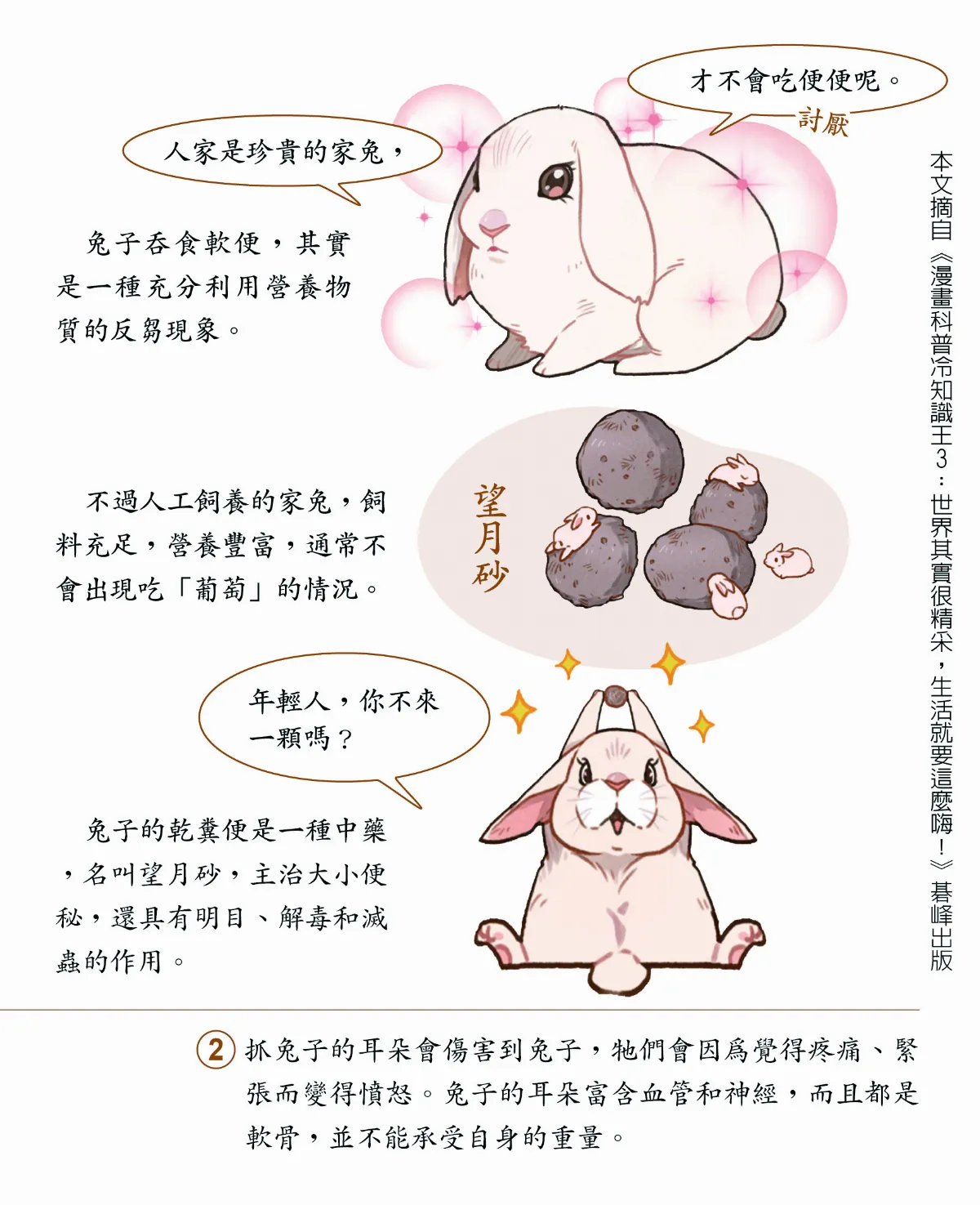 兔子會吃自己的便便