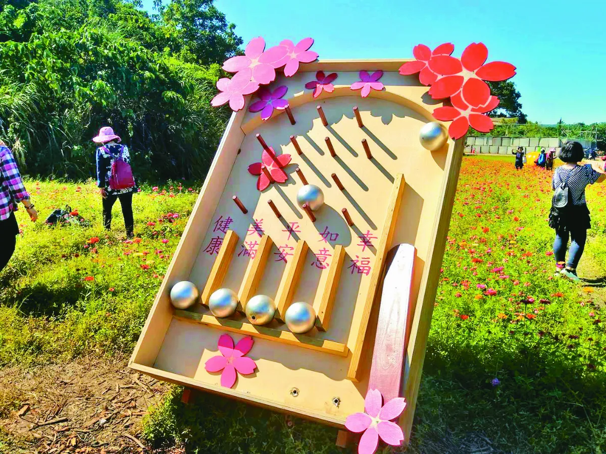 印象旅人 徜徉關渡祕境花海