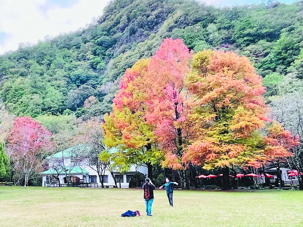 冷氣團今襲台 最低溫剩10℃
