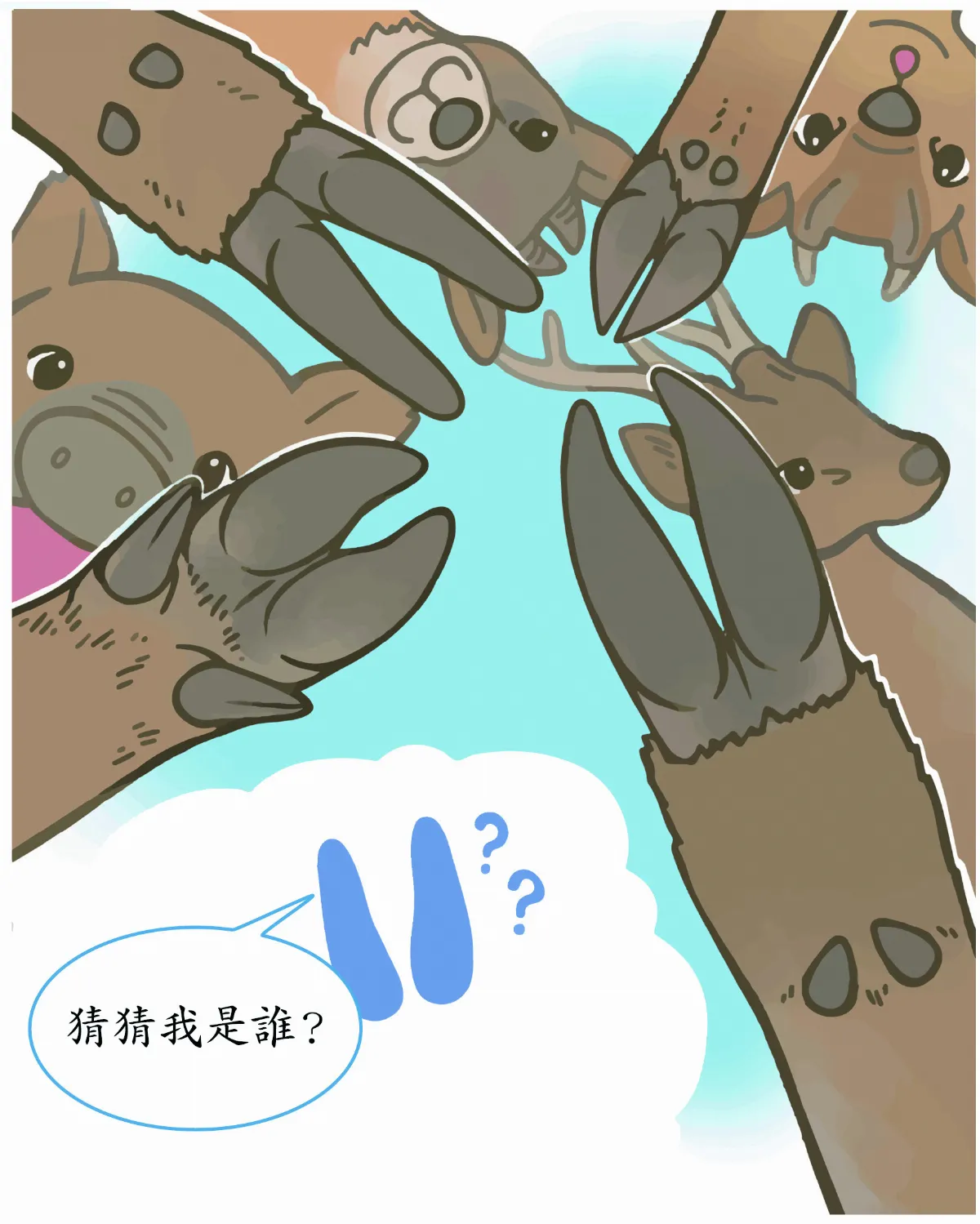 玉子手札 印象深刻台灣偶蹄動物腳印