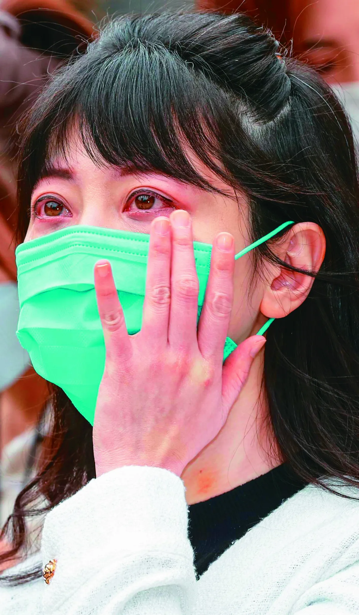 林秉樞施暴高嘉瑜 被捕送法辦