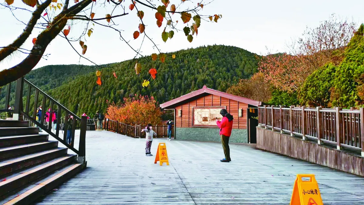今明水氣大增 竹苗急凍5.9℃   太平山披薄霜