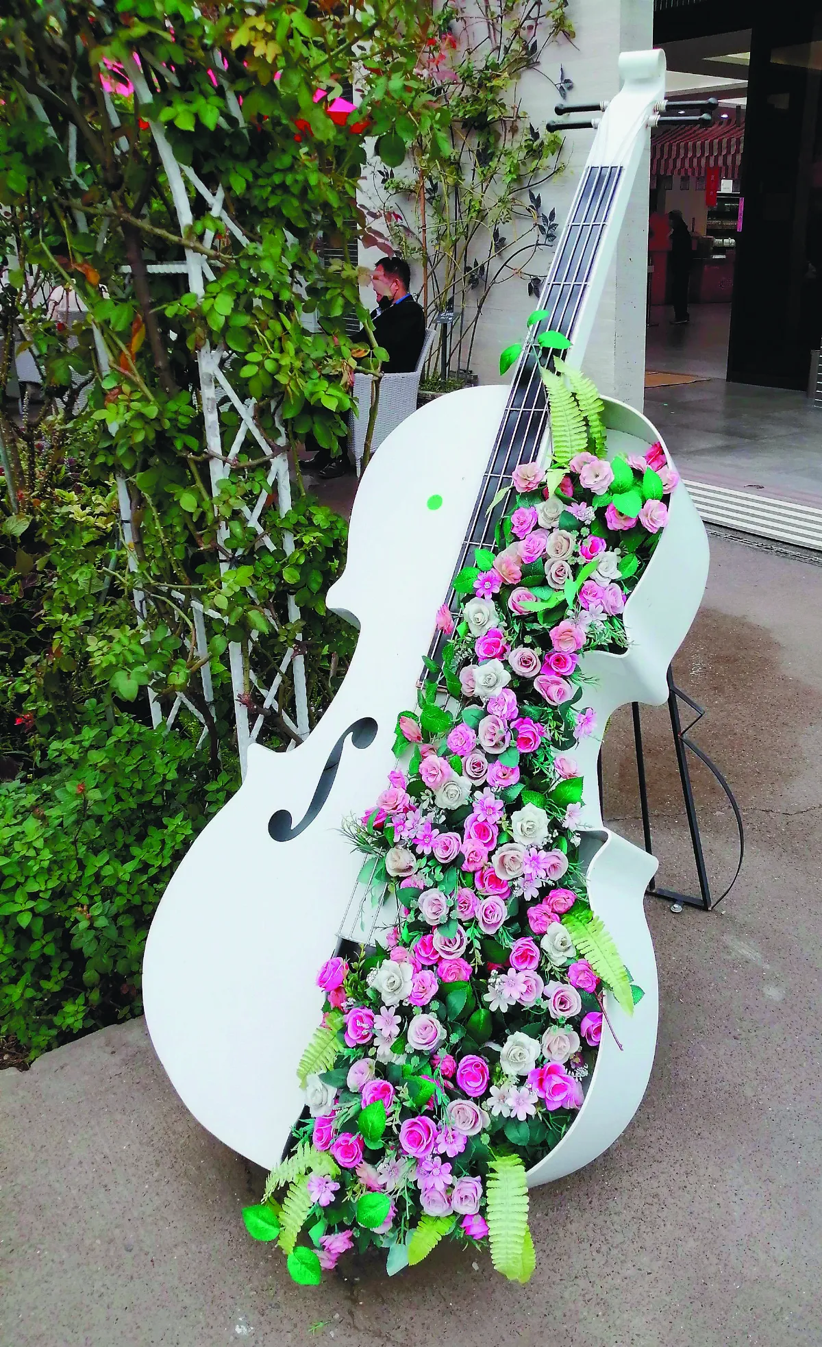 生活快門 琴韻花香