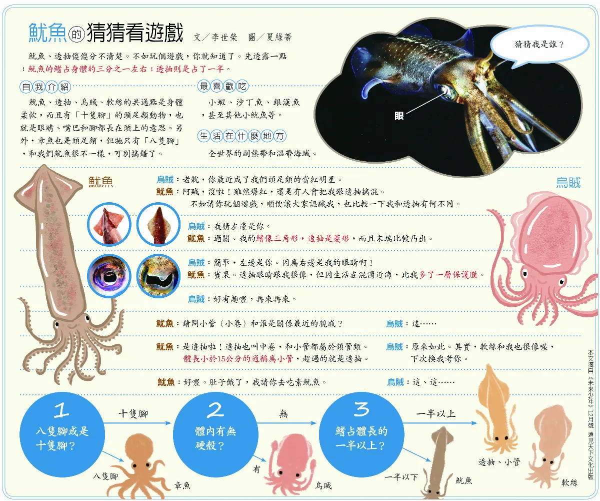 魷魚的猜猜看遊戲