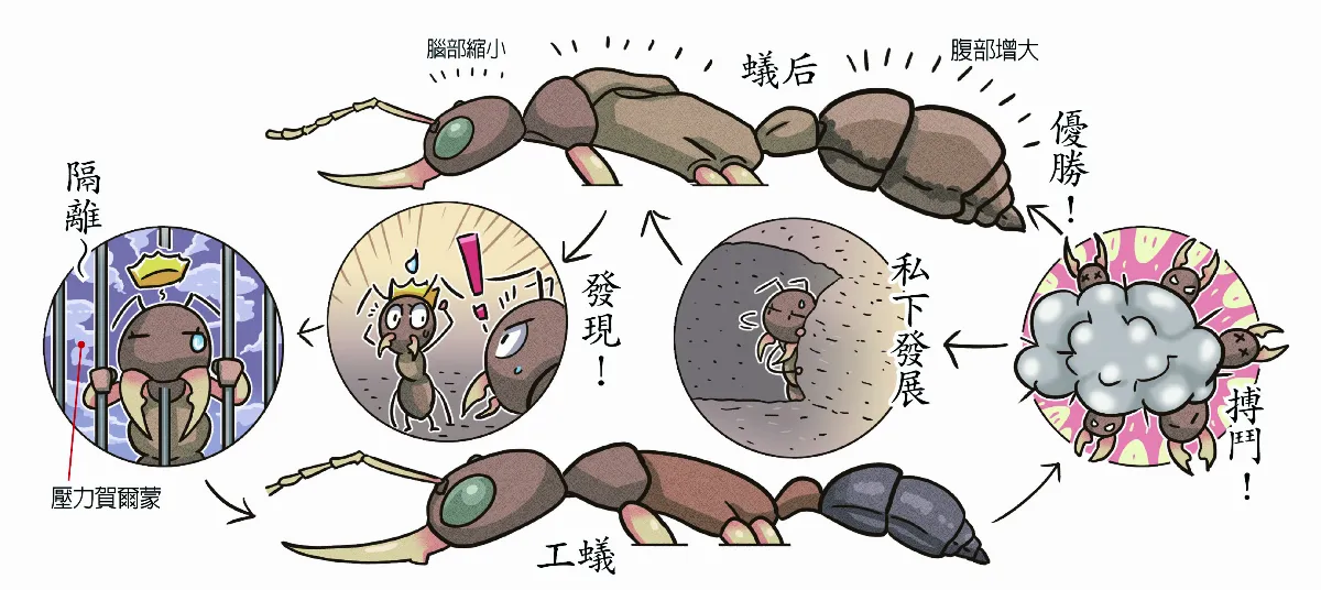 螞蟻遊戲