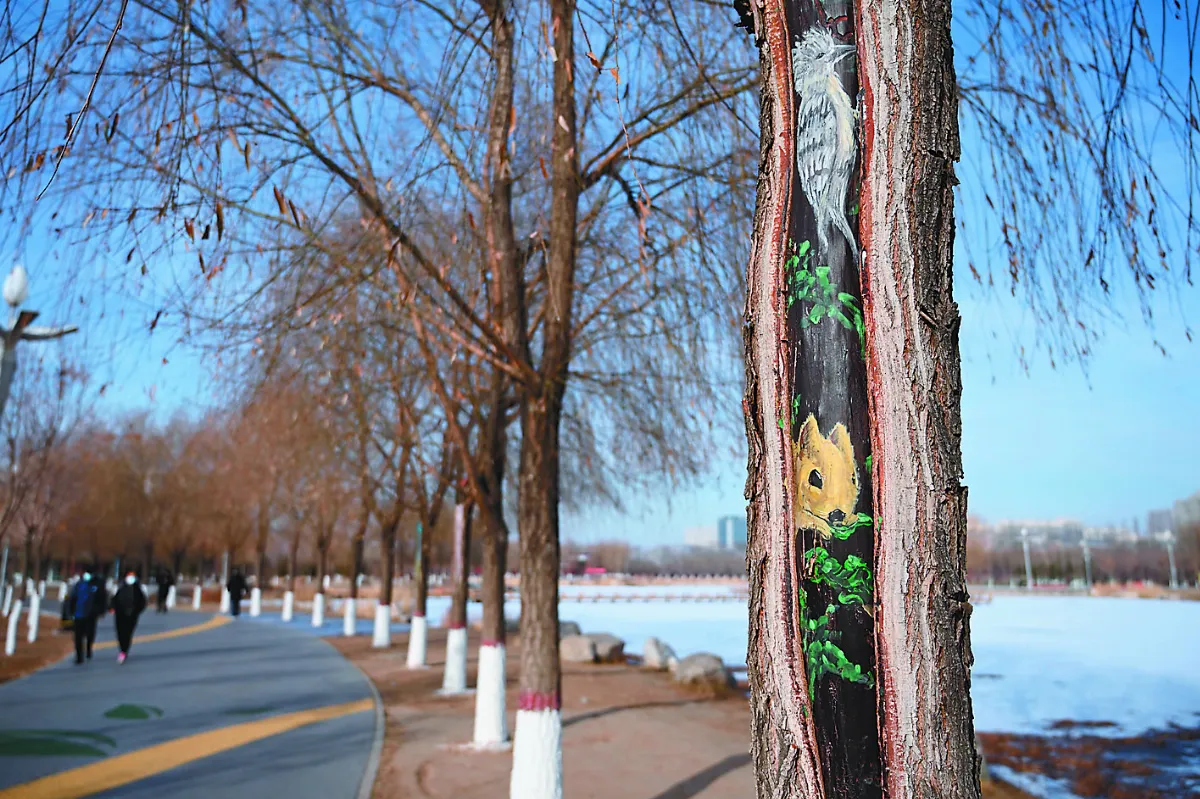 樹皮縫揮毫 妙趣橫生