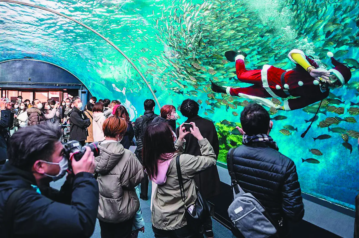 耶誕老人餵魚秀