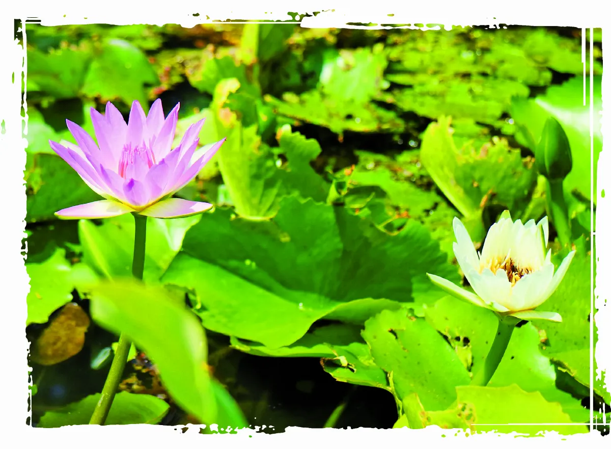 【法同舍】 相信自己的勇氣