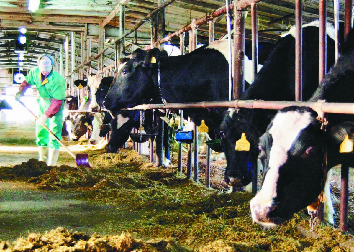 糧價通膨加劇 全球化肥短缺 推升糞肥需求