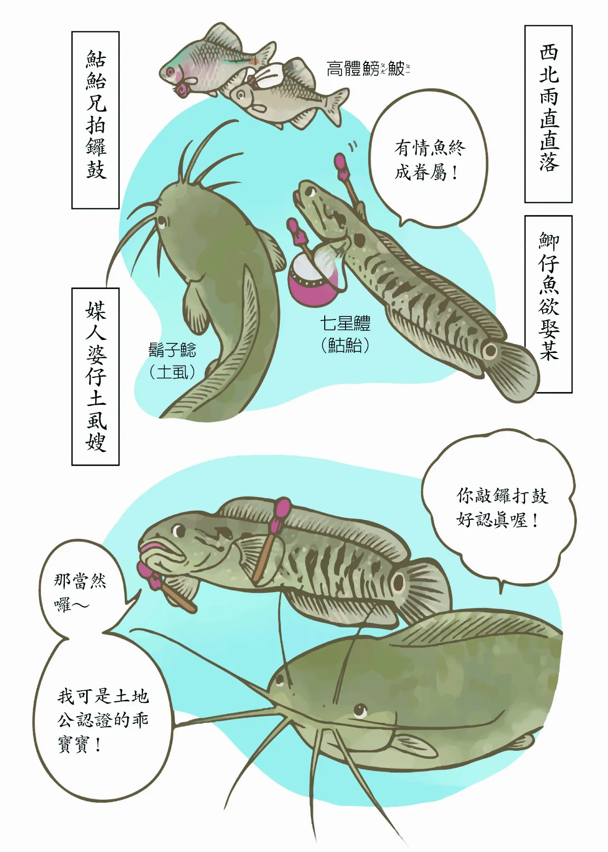 玉子手札 打鑼鼓的鮕鮐兄是誰？