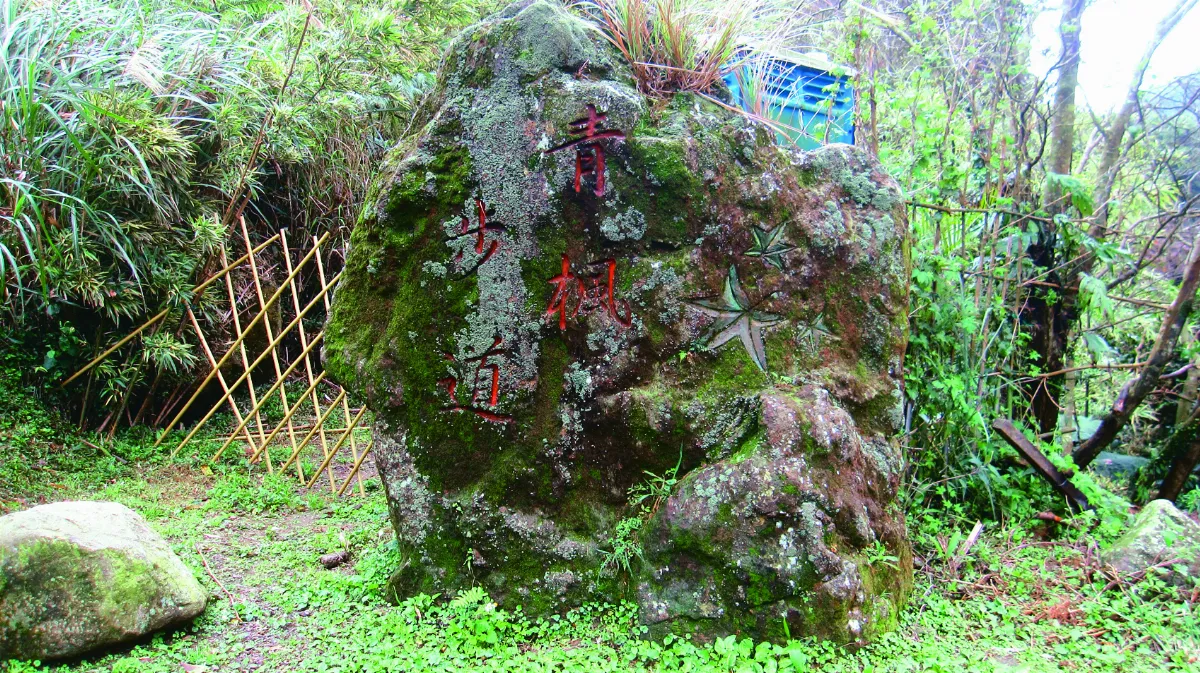 印象旅人 漫步竹子湖青楓步道