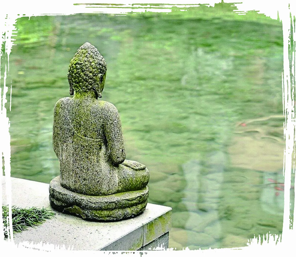 【法同舍】 得到和失去