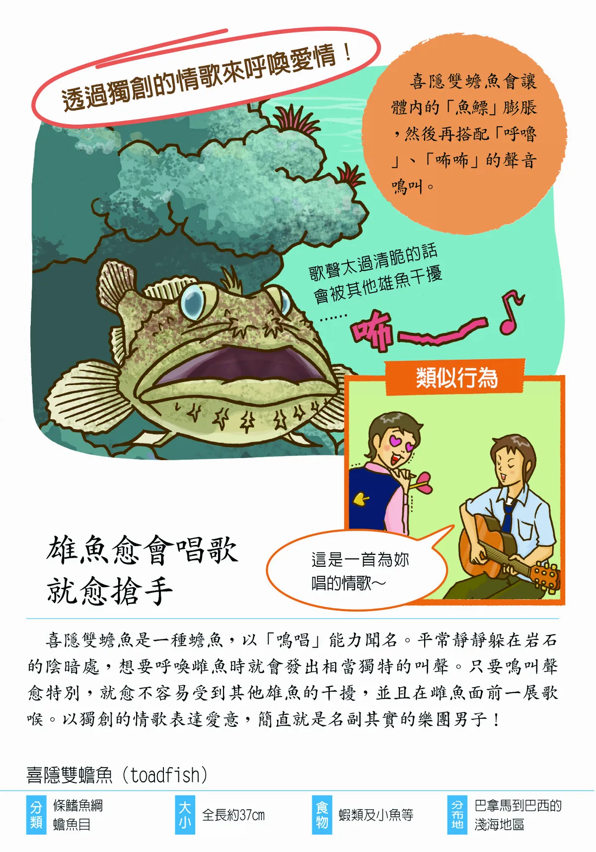 髮型、歌喉 決定情場勝負