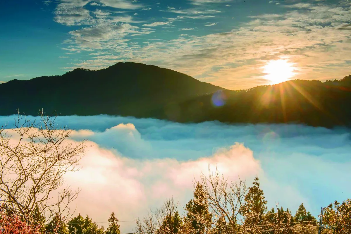 迎元旦曙光  太平山3時開園