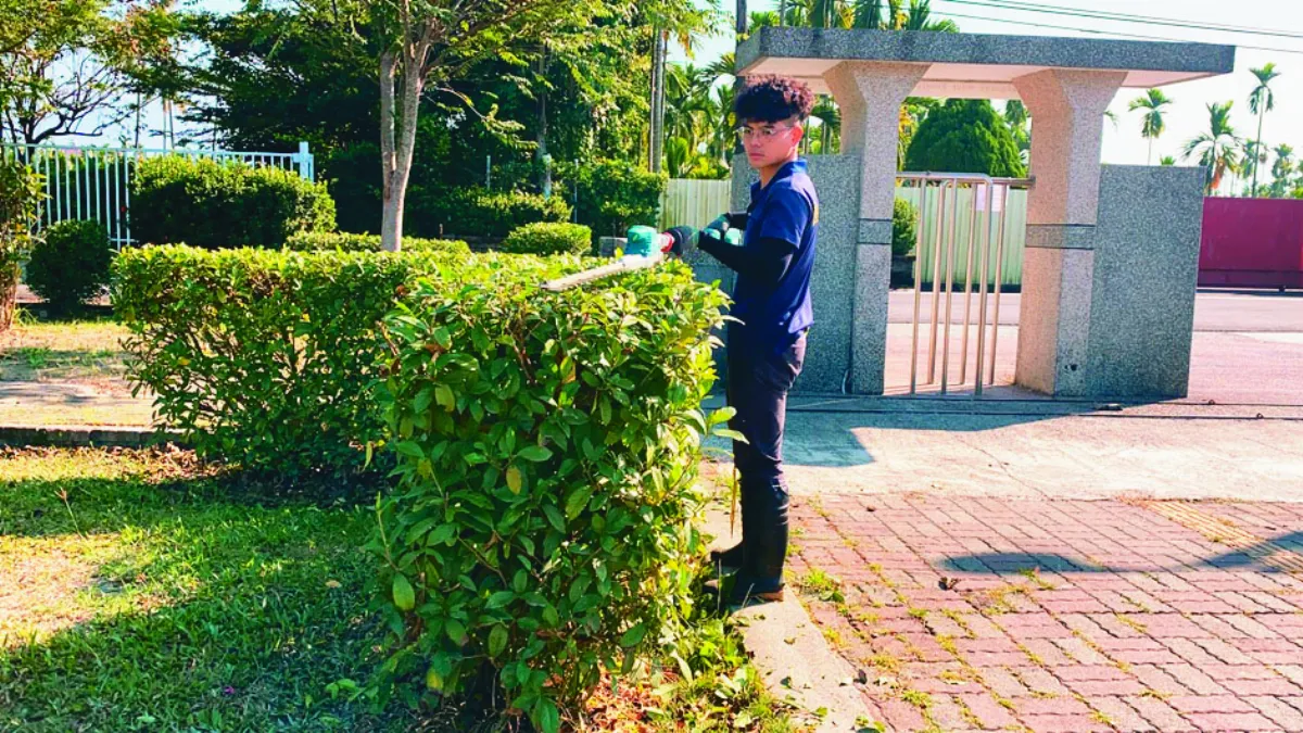 除草整墓園 大學生賺進第1桶金