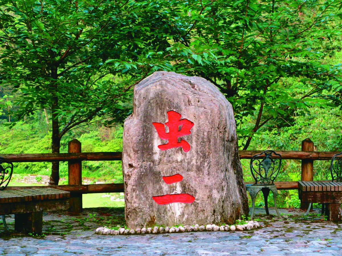 【寰宇采風】 虫二