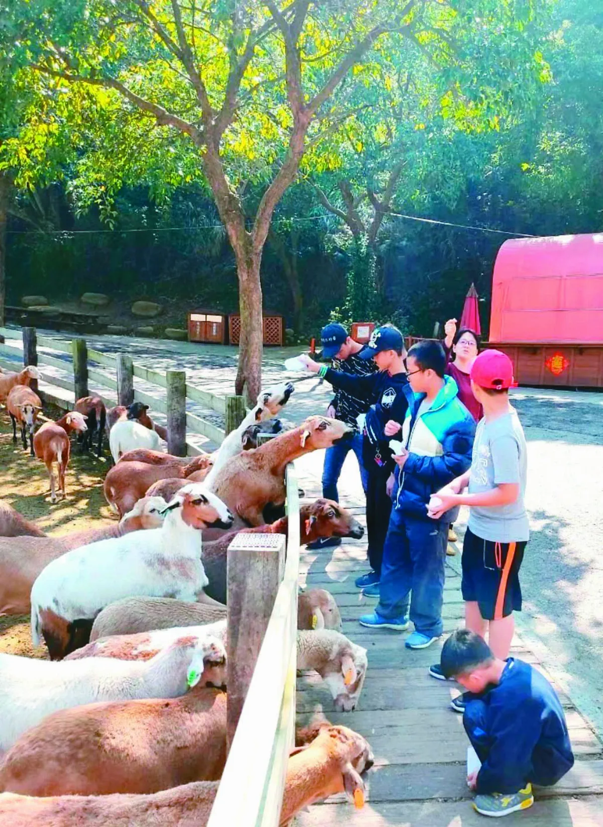 聽兒少說悄悄話 社福用愛陪伴