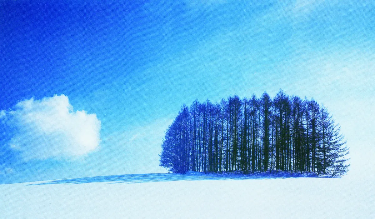 詩 雪晴松林讓我流放吧