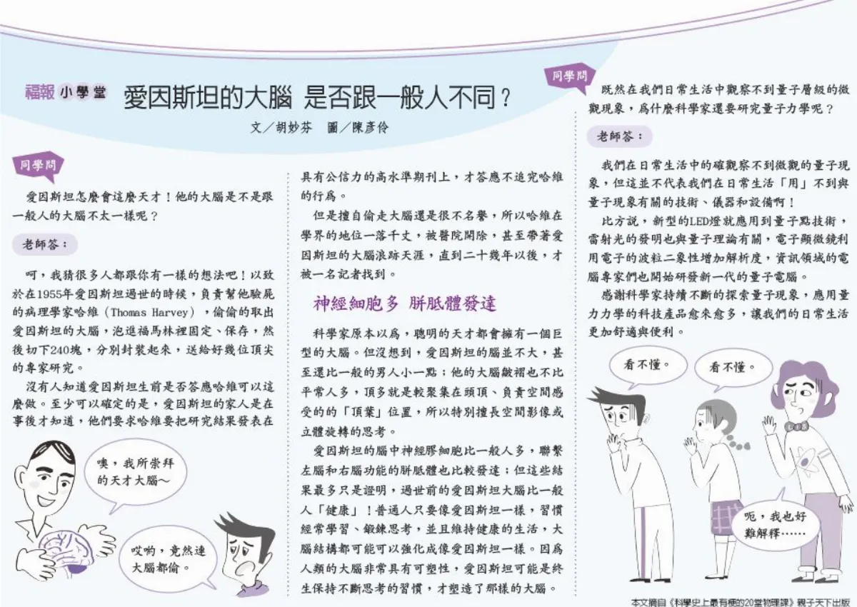 福報小學堂 愛因斯坦的大腦 是否跟一般人不同？