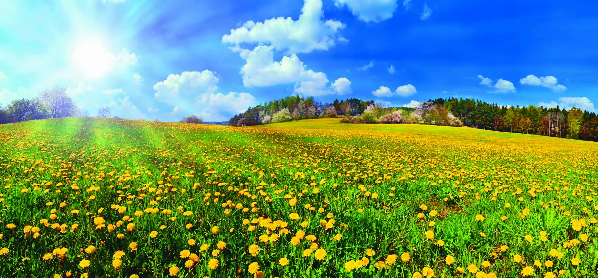 隨堂開示錄─青年勉勵48  人生重要的幾個選擇4-2