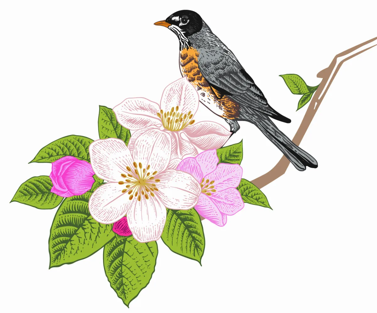 隨堂開示錄─青年勉勵48  人生重要的幾個選擇4-2