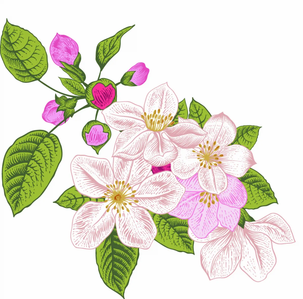 隨堂開示錄─青年勉勵48  人生重要的幾個選擇4-2