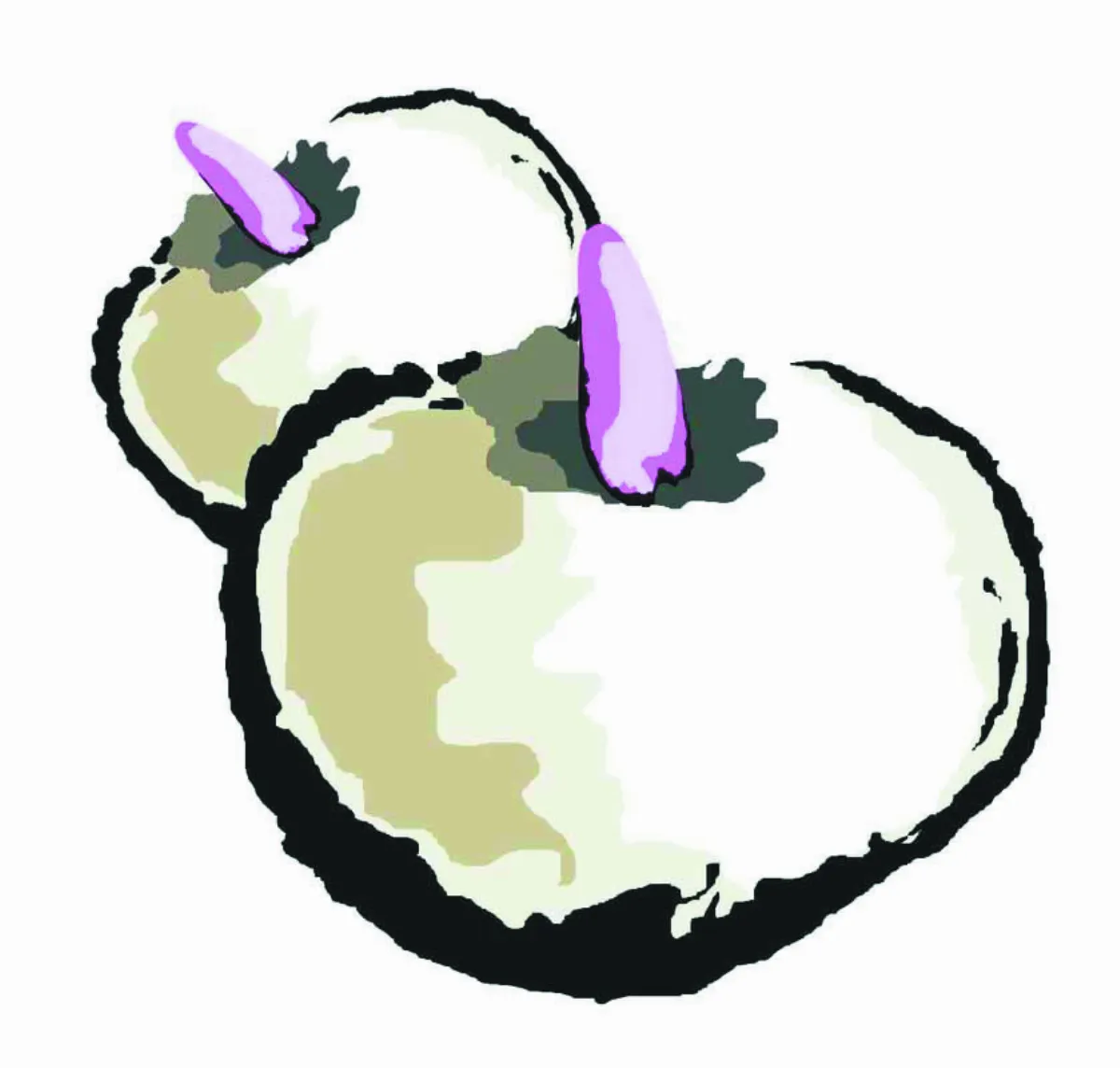 食說新語 魔芋神奇又保健