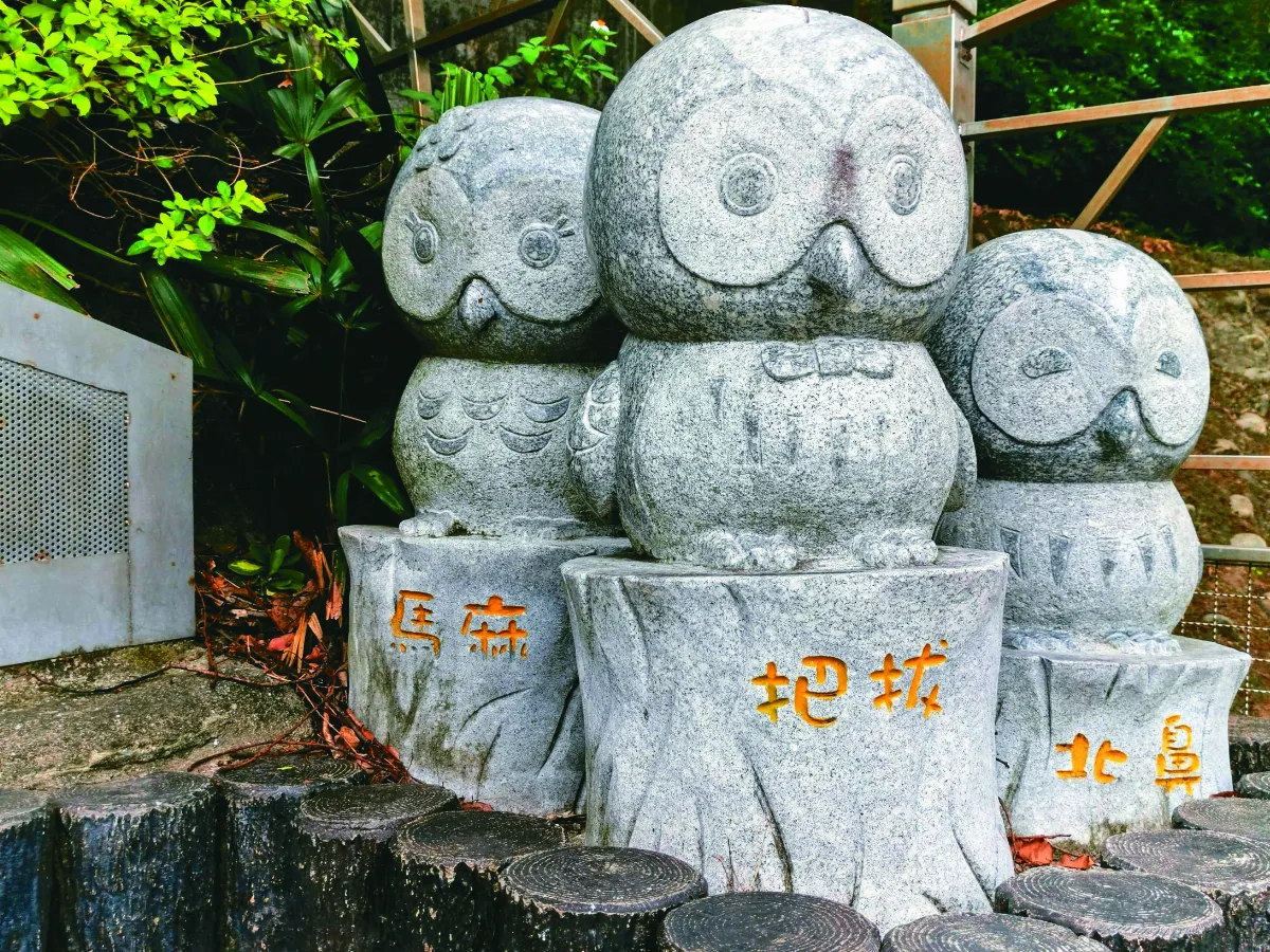 生活快門  貓頭鷹三口組