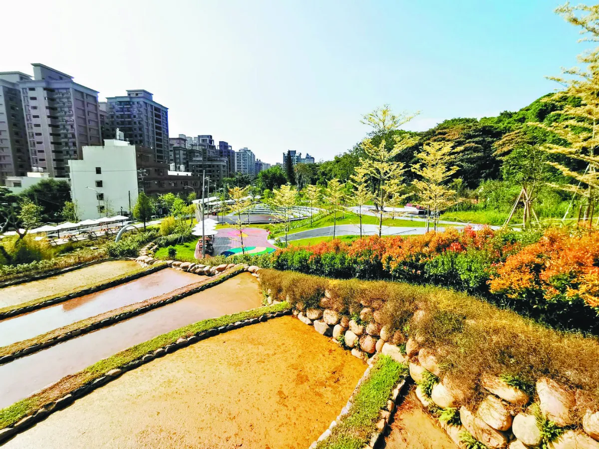 【文化印象】 大有梯田生態公園