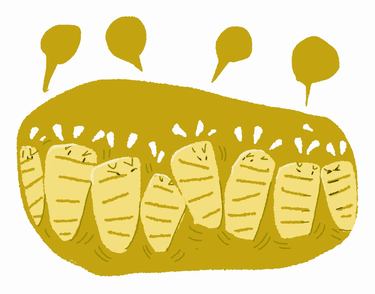 黑水虻 將廚餘轉變回食物