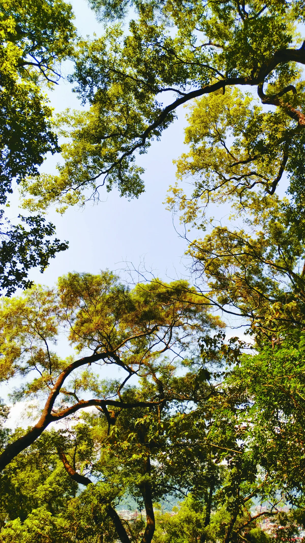 素人攝影 優遊自然