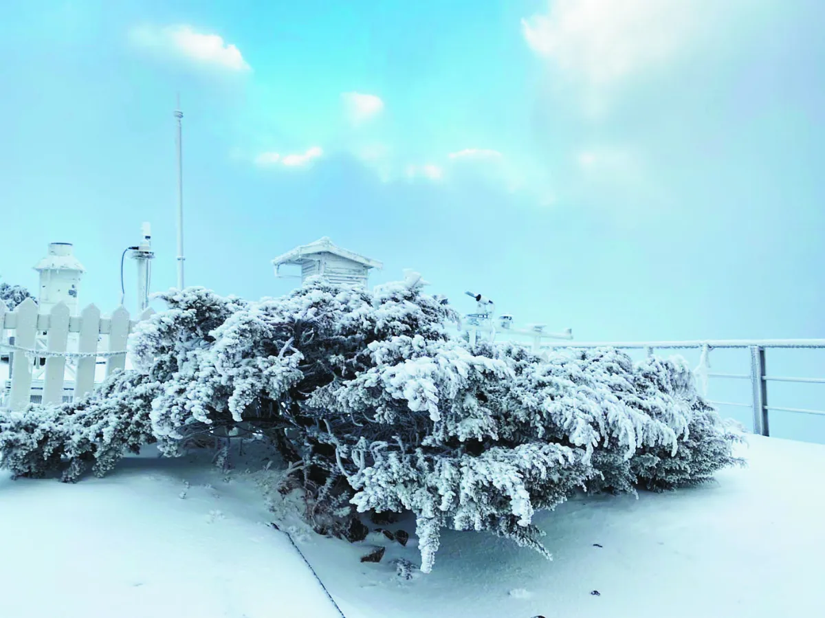 玉山北峰積雪2公分 合歡山下霰雪