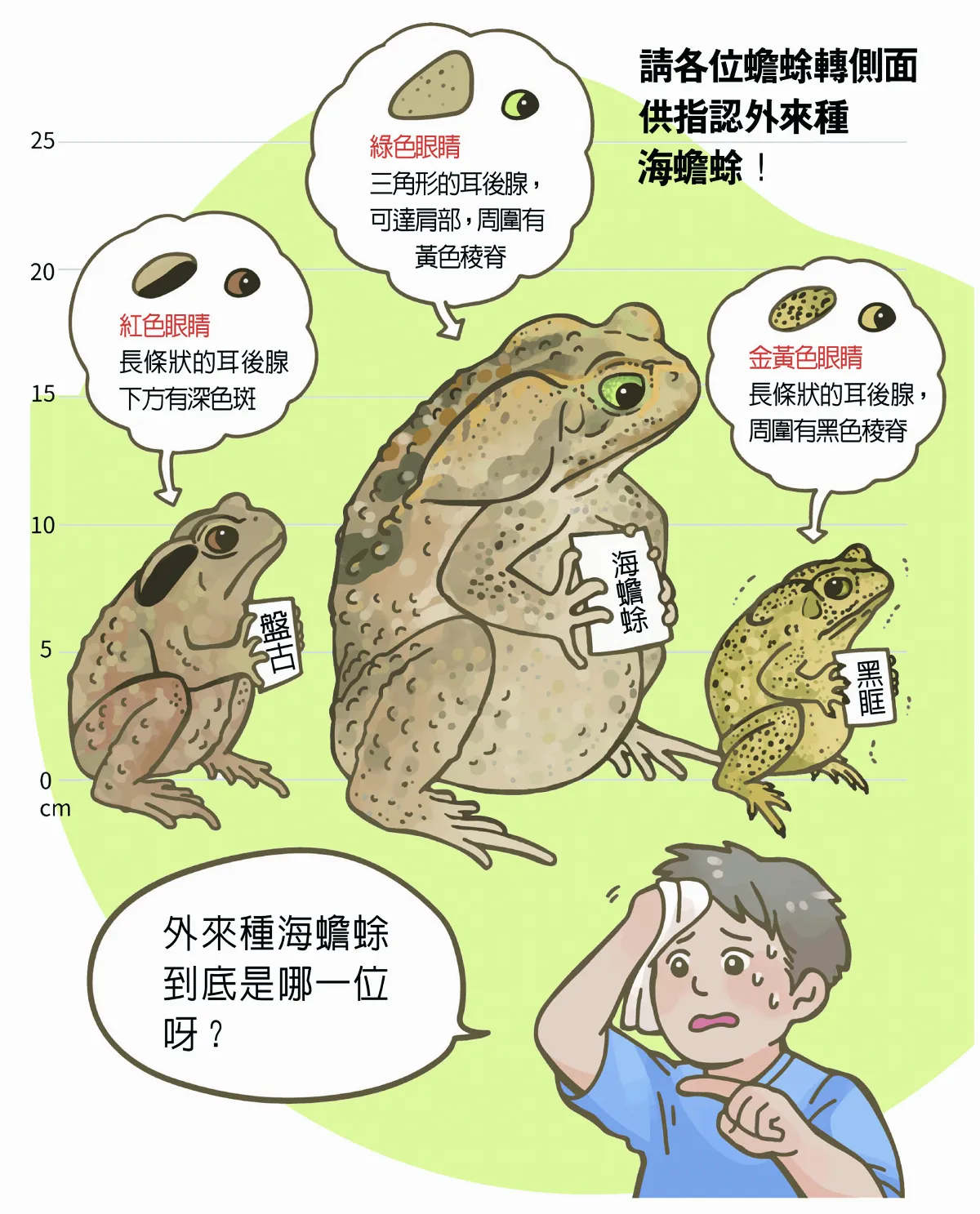 玉子手札 海蟾蜍 忽有龐然大物   拔山倒樹而來